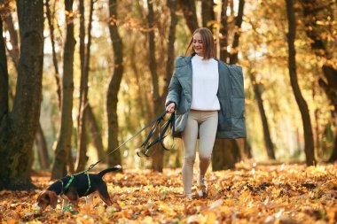 Birlikte yürüyoruz. Kadın sonbahar ormanında sevimli köpeğiyle birlikte..