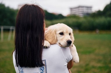 Yeşil tarlada küçük sevimli Golden Retriever köpeği olan bir kadının arka görüntüsü..