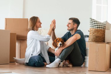 Çak bir beşlik. Köpekli genç çift yeni evine taşınıyor..