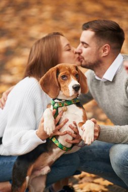 Birbirimizi öpüyoruz. Hoş bir çift, sevimli köpekleri dışarıda..