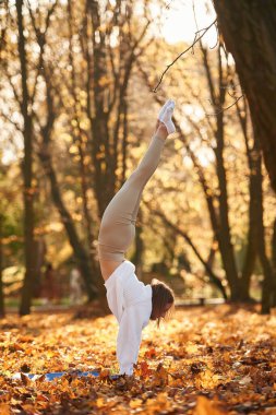 Ellerin üzerinde duruyor. Genç güzel kadın sonbahar parkında yoga yapıyor..