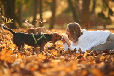 Yan görünüş, oyun. Kadın sonbahar ormanında sevimli köpeğiyle birlikte..