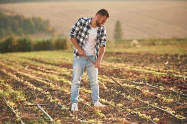 Çapayı tutuyorum. İnsan tarım alanında, iş ve hasat kavramında..