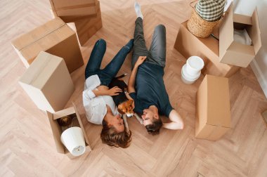 Yukarıdan bak, uzan ve dinlen. Köpekli genç çift yeni evine taşınıyor..