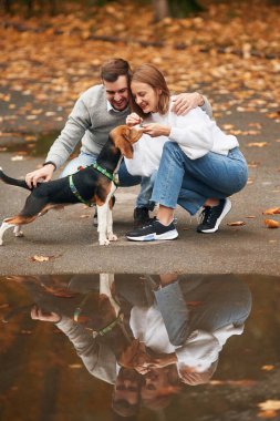 Numaraları öğretmek, antrenman yapmak. Hoş bir çift, sevimli köpekleri dışarıda..