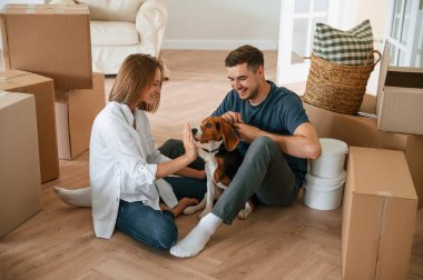 Oturup köpekle oynamak. Genç çift yeni evine taşınıyor..