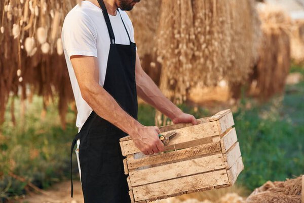 Dried flax is hanging. Young gardener is in the greenhouse.