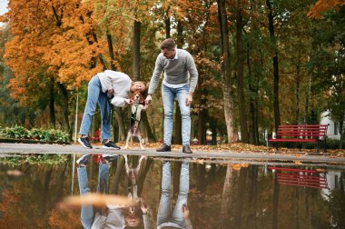 Su birikintisinin yanında. Hoş bir çift, sevimli köpekleri dışarıda..