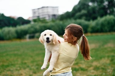 Hayvanı ellerimde tutuyorum. Tatlı küçük kız Golden Retriever köpeğiyle sahada..