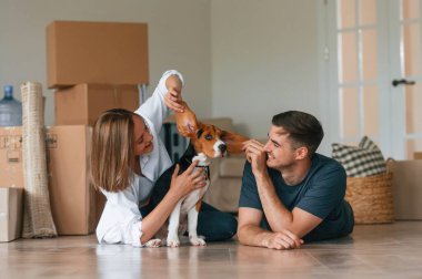 Yere uzanıyordu. Köpekli genç çift yeni evine taşınıyor..