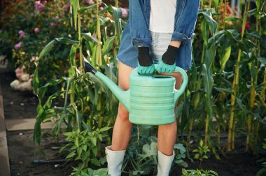 Parçacık görünümünü kapat. Güzel genç bayan bahçeyle uğraşıyor..