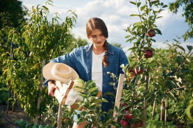 Gündüz çalışıyorum. Güzel genç bayan bahçeyle uğraşıyor..