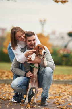 Hayvanı bacaklarından tutup, dik durmasını sağlamak. Hoş bir çift, sevimli köpekleri dışarıda..
