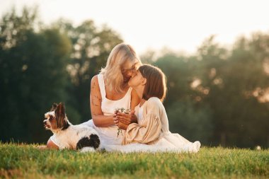 Yaz tarlasında. Anne kızıyla ve sevimli köpeğiyle..