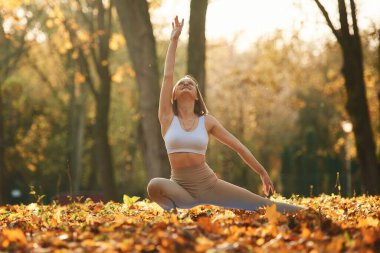 Esneklik kavramı. Genç güzel kadın sonbahar parkında yoga yapıyor..