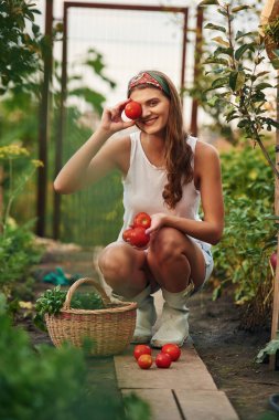 Domatesli. Güzel genç bayan bahçeyle uğraşıyor..