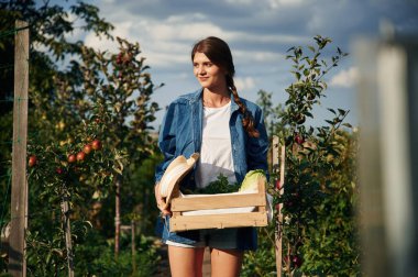 Gündüz çalışıyorum. Güzel genç bayan bahçeyle uğraşıyor..