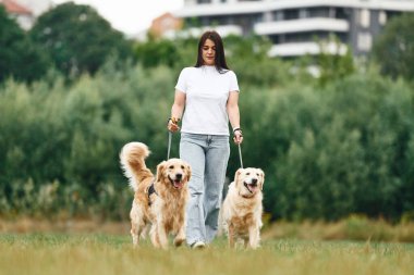 Hayvanları tasmalarından tutmak. Güzel köpekli bir kadın açık arazide..