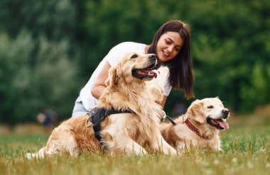 Güzel köpekli bir kadın açık arazide..