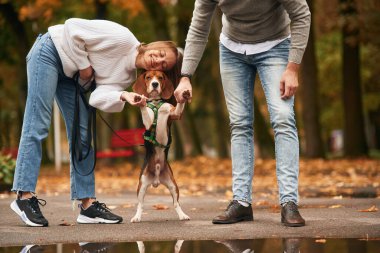 Hayvanı bacaklarından tutup, dik durmasını sağlamak. Hoş bir çift, sevimli köpekleri dışarıda..