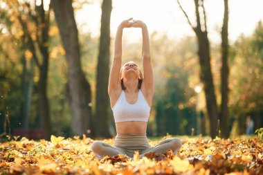 El egzersizleri. Genç güzel kadın sonbahar parkında yoga yapıyor..