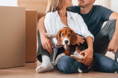 Birbirinize sarılın. Köpekli genç çift yeni evine taşınıyor..