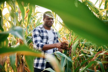 Elimde taze mısır var. Genç siyah adam gündüz ayakta duruyor..