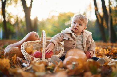 Bir sepet elma ve armutla. Küçük çocuk sonbahar parkında tereyağlı balkabağıyla oturuyor..