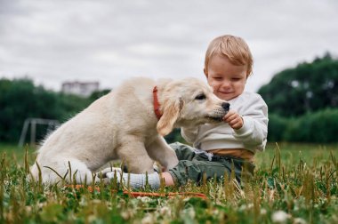 Sahada Golden Retriever köpeği olan küçük çocuk.