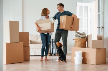 Yürümek, kutuları tutmak ve gülümsemek. Köpekli genç çift yeni evine taşınıyor..