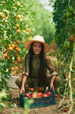 Ayakta durup poz vererek, elinde domates tutarak. Küçük kız bahçede..