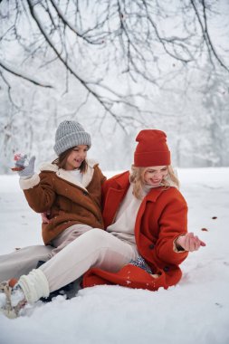 Karda. Anne ve kızı kış çayırlarında ve ormandalar..