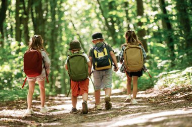 Yürüyüş kavramı. Çocuklar yazın gündüz vakti ormanda..
