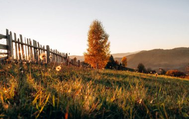 Karpat dağlarının görkemli manzarası, sonbahar mevsimi.