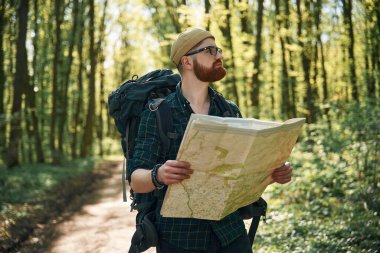 Haritayı okuyorum, bir yol arıyorum. Sakallı adam gündüz vakti ormandadır..