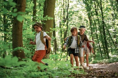 Bir sürü yeşil bitki ve yaprak. Çocuklar yazın gündüz vakti ormanda..