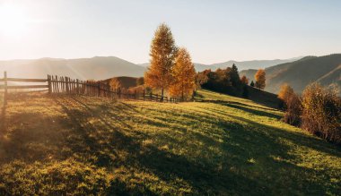 Gün ışığı. Karpat dağlarının görkemli manzarası, sonbahar mevsimi.