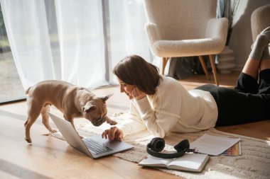 Şirin pug sahibine bakıyor. Evde dizüstü bilgisayarı olan genç bir kadın..
