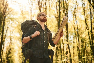 Büyük kağıt harita. Sakallı adam gündüz vakti ormandadır..