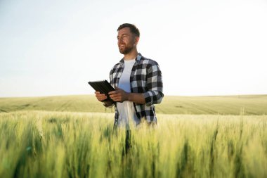 Dijital tablet ellerinde. Yakışıklı adam gün içinde tarım alanında olur..