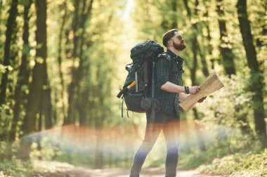 Güzel lens efekti. Sakallı adam gündüz vakti ormandadır..