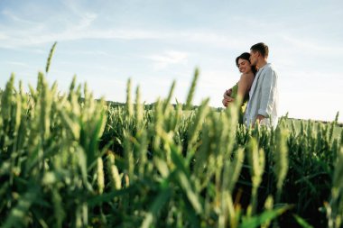 İlişki kavramı. Çiftler tarlada beraberler..
