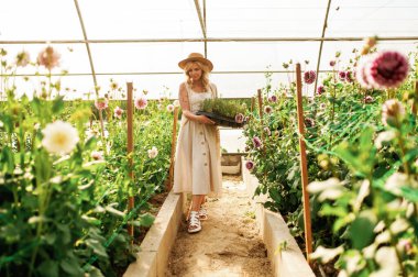 Plastik kaplarda yürüyen ve bir sürü bitki tutan. Güzel kadın serada..