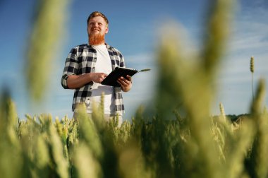 Dijital tabletle kalite kontrol süreci. Beyaz gömlekli adam tarlada..