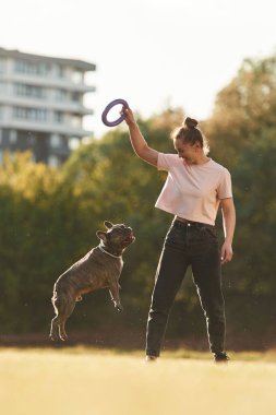 Kadın köpekle birlikte yaz tarlasında..