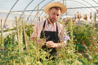 Seradaki adam bitkilerle çalışıyor..