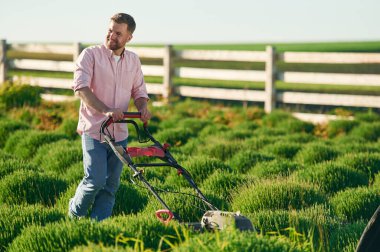 Çim biçme makinesi kullanıyor. Yetişkin çiftçi dışarıda..