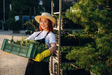 Güneş ışığının altında, bitkileri tutarken. Genç kızıl saçlı kadın bahçeyle ilgileniyor..