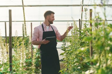 Dijital tablet kullanılıyor. Seradaki adam bitkilerle çalışıyor..