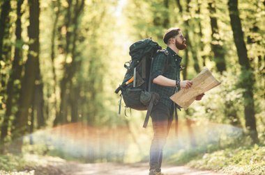 Renkli lens etkisi. Sakallı adam gündüz vakti ormandadır..